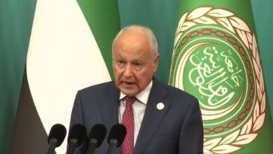 أبو الغيط: وقف العدوان الإسرائيلى على غزة لم يعد مطلبا عربيا بل عالميا