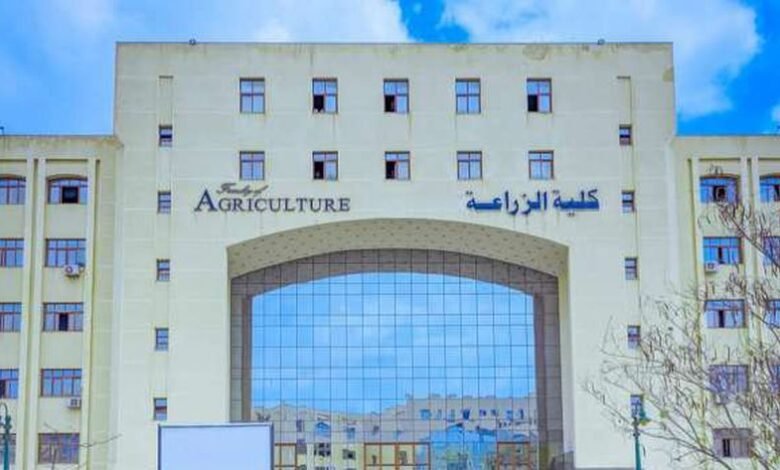 أقسام كلية الزراعة في 12 جامعة حكومية.. الإنتاج الحيواني والنباتي أبرزها - أي خدمة