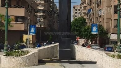إزالة تمثال الملكة نفرتيتى المشوه بميدان شلبى بمحافظة المنيا (صور)