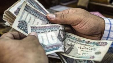استعلام تكافل وكرامة بعد إضافة 173 ألف مستحق لبرنامج الدعم النقدي - أخبار مصر