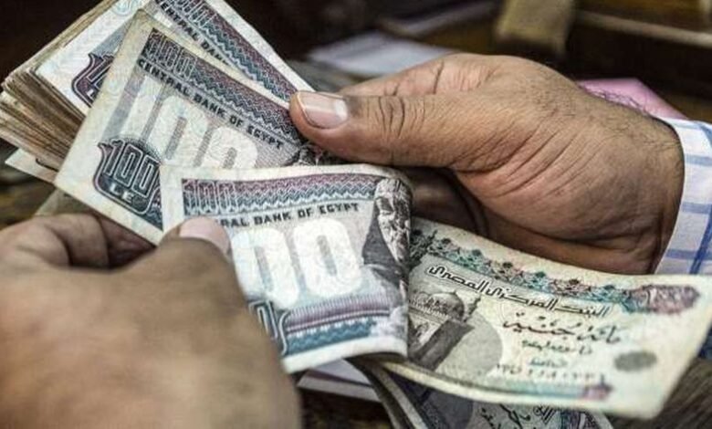 استعلام تكافل وكرامة بعد إضافة 173 ألف مستحق لبرنامج الدعم النقدي - أخبار مصر
