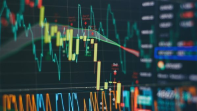 البورصة المصرية، خبيرة أسواق مال توضح الفرق بين ضريبة الدمغة والأرباح الرأسمالية