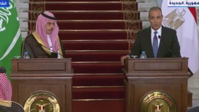 الخارجية: مصر والسعودية بآخر مرحلة للمجلس التنسيقى بقيادة الرئيس السيسي وولى العهد