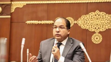 النائب عادل اللمعي: توطين صناعة السيارات في مصر يقلل فاتورة الاستيراد - أخبار مصر
