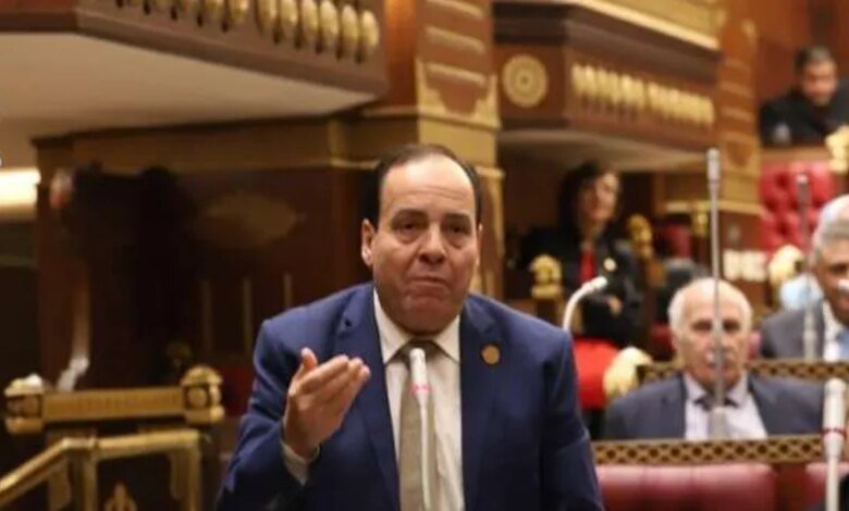 «حماة الوطن»: مبادرة «ابدأ» نموذج رائد في توطين الصناعة وتوفير فرص عمل - أخبار مصر