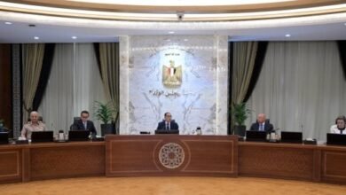 رئيس الوزراء: لو نصف حالات سرقة الكهرباء لم تتواجد فلن يكون لدينا أى مشاكل