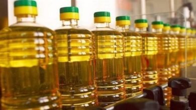 سعر زجاجة الزيت، أسعار الزيت اليوم الثلاثاء 10-9-2024 في الأسواق