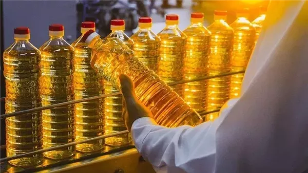 سعر زجاجة الزيت، أسعار الزيت اليوم الثلاثاء 17-9-2024 في الأسواق