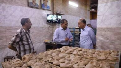 محافظ المنيا يشهد توزيع الخبز مجانا ضمن أنشطة مبادرة «بداية جديدة» - المحافظات