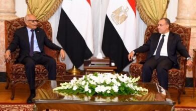 وزير الخارجية: مصر تدعم وحدة السودان وسيادته وسلامة أراضيه