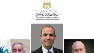 وزير الخارجية يجرى اتصالين هاتفيين برئيس الحكومة ووزير الخارجية اللبنانيين