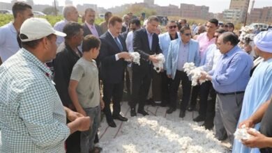 وزير الزراعة يفتتح موسم جني القطن بالمنوفية تزامنًا مع عيد الفلاح (صور)