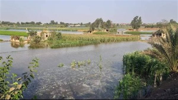 وفاة أربعيني غرقًا في بحيرة زراعية بالوادي الجديد