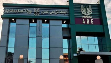 البنك الزراعي المصري: محفظة الودائع تقفز إلى 189.4 مليار جنيه بنهاية سبتمبر 2024